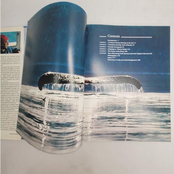 Jacques Cousteau Whales 1986 Hardcover Marine‎ Ocean Life Book Wildlife Photos - Picture 7 of 11